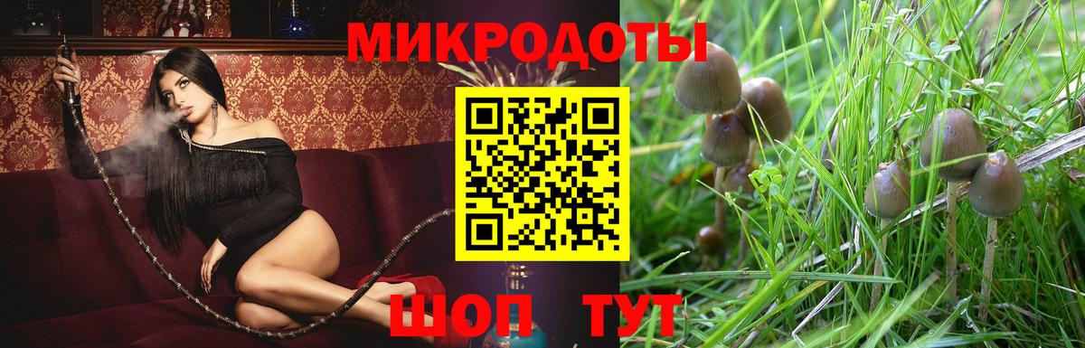 Псилоцибиновые грибы Cubensis Десногорск